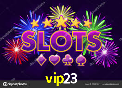 vip23.com
